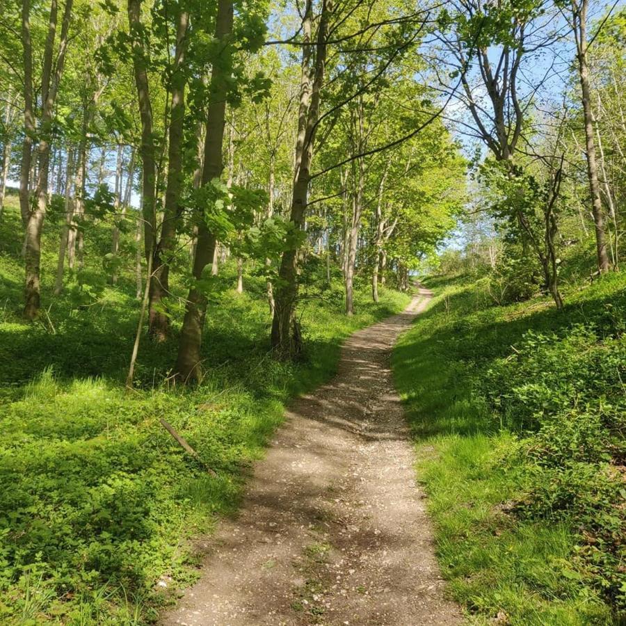 Holiday home Holly Cottage, Hidden Gem In The Yorkshire Wolds Welton (East Riding of Yorkshire)