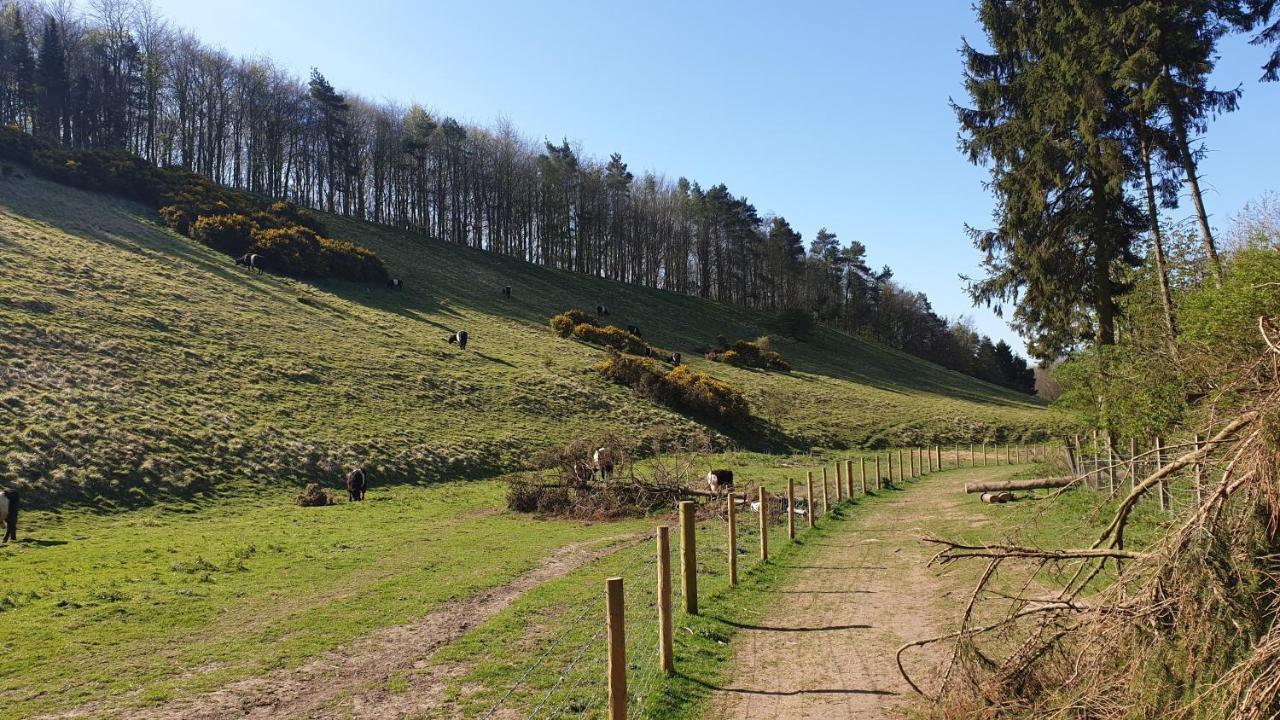 Holiday home Holly Cottage, Hidden Gem In The Yorkshire Wolds